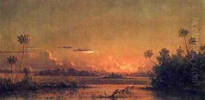 Florida Sunset With Waterfowl by Martin Johnson Heade