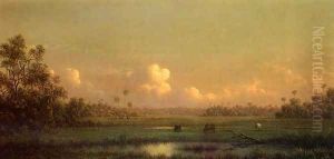 Evening Lake Alto Florida