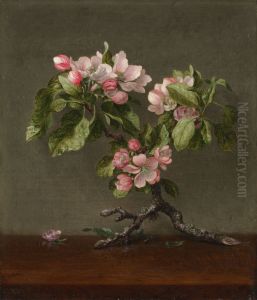 Apple Blossoms