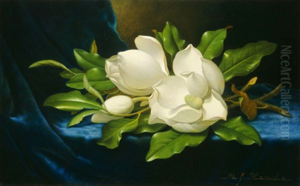 Giant Magnolias On A Blue Velvet Cloth by Martin Johnson Heade