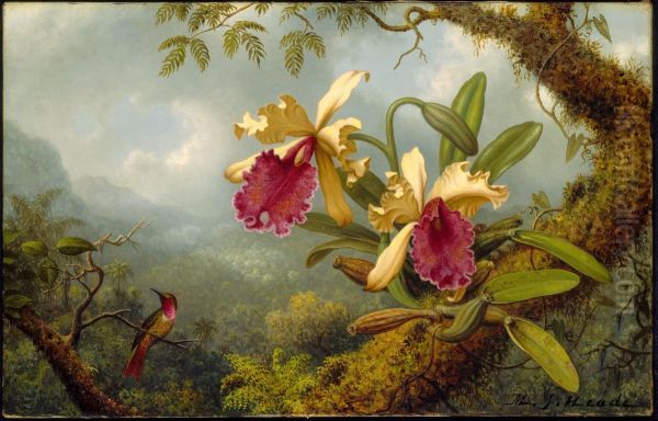 Orchids and Hummingbird - view 1