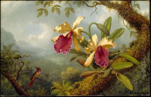 Orchids and Hummingbird by Martin Johnson Heade