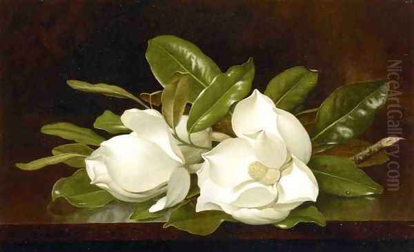 Magnolias On A Wooden Table - view 1