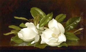 Magnolias On A Wooden Table by Martin Johnson Heade