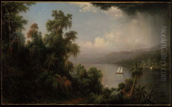 Coast Of Jamaica - view 1