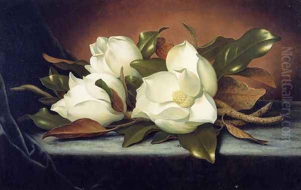 Giant Magnolias - view 1