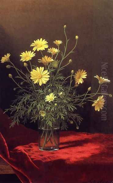 Golden Marguerites - view 1