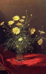 Golden Marguerites by Martin Johnson Heade