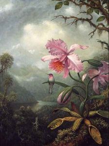 Hummingbird Perched On An Orchid Plant by Martin Johnson Heade