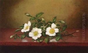 Cherokee Roses On A Shiney Table by Martin Johnson Heade