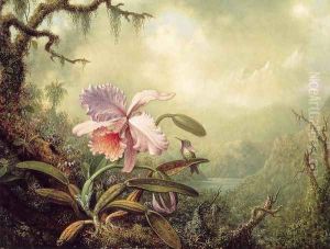 Heliodores Woodstar And A Pink Orchid by Martin Johnson Heade