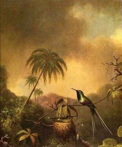 Thorn Tail Brazil by Martin Johnson Heade