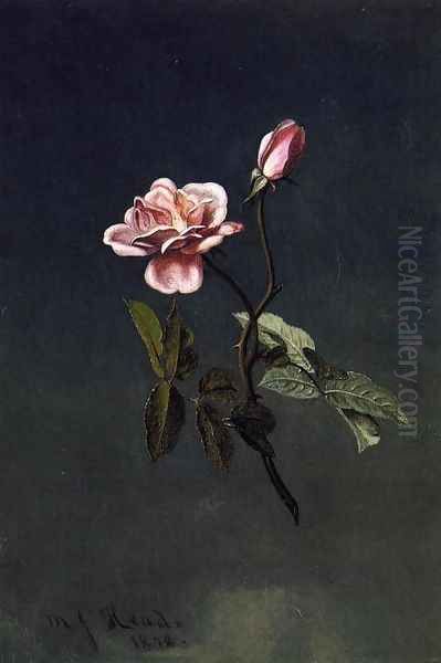 Pink Rose - view 1