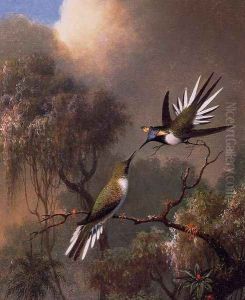 Two Sun Gems On A Branch by Martin Johnson Heade