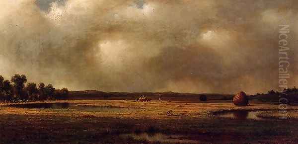 Storm Over The Marshes - view 1
