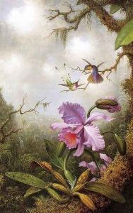 Two Hummingbirds And A PinkOrchid by Martin Johnson Heade