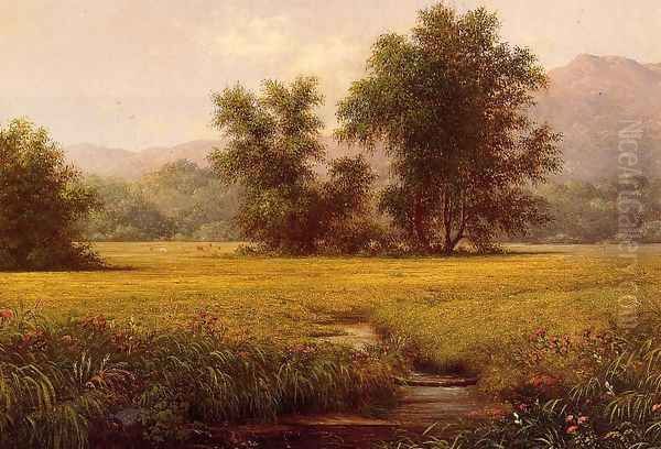 The Meadow - view 1
