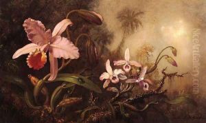 Orchids And A Beetle by Martin Johnson Heade