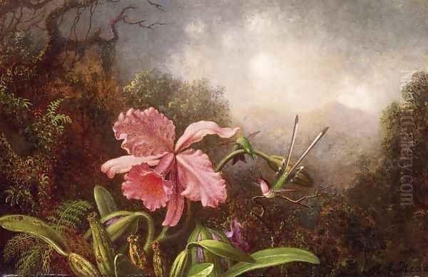 Two Hummingbirds By An Orchid - view 1