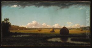 Summer Showers by Martin Johnson Heade