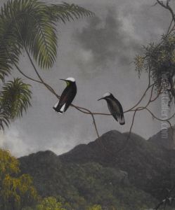 Snowcap by Martin Johnson Heade