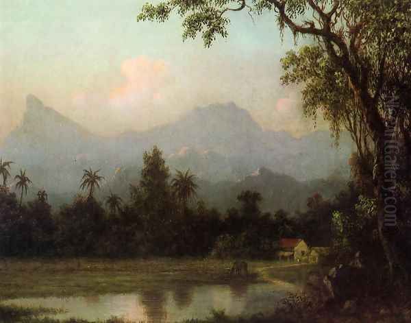 Rio De Janeiro South American Scene With Cabin - view 1