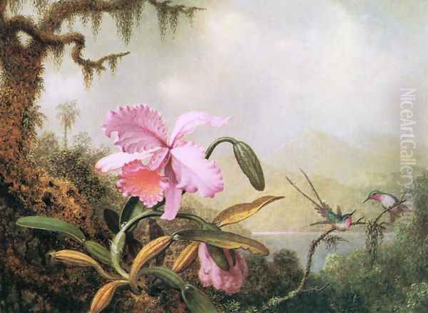 Orchids And Hummingbirds4 - view 1