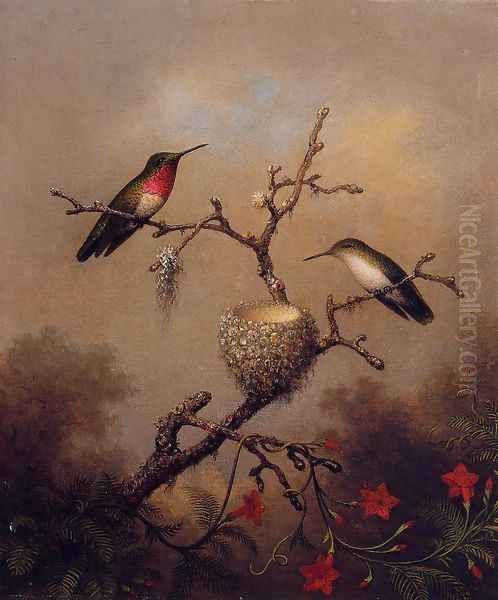 Ruby Throated Hummingbird - view 1