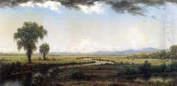 Storm Clouds Over The New Jersey Marshes - view 1