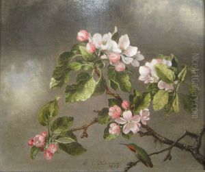 Hummingbird and Apple Blossoms by Martin Johnson Heade