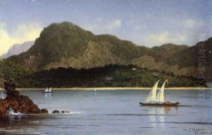 Seascape Aka Brazilian View by Martin Johnson Heade