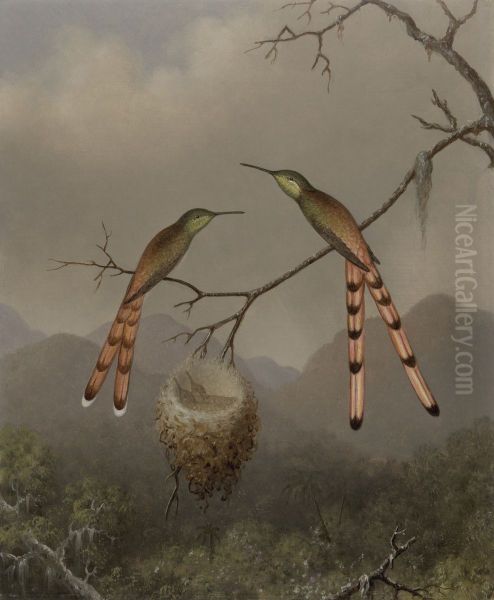 Two Hummingbirds With Their Young - view 1