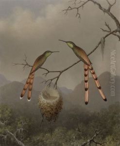 Two Hummingbirds With Their Young by Martin Johnson Heade