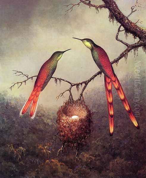 Two Hummingbirds Garding An Egg - view 1