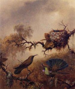 White Vented Violet Eared by Martin Johnson Heade