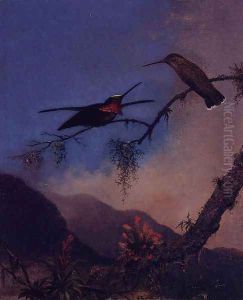 Strip Breasted Starthroat by Martin Johnson Heade