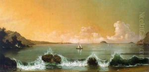Rio de Janeiro Bay 1864 by Martin Johnson Heade