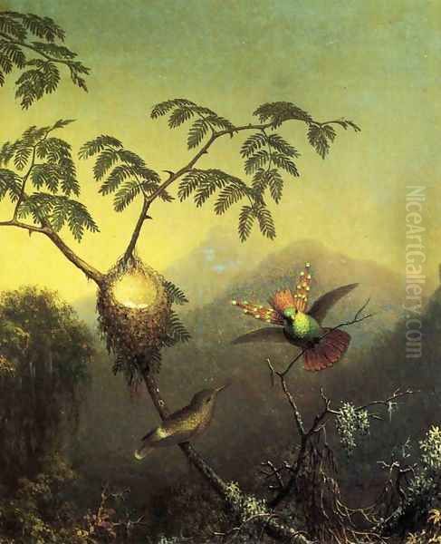 Two Hummingbirds Tufted Coquettes - view 1
