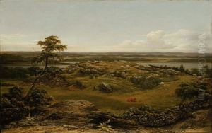 Rocks In New England by Martin Johnson Heade
