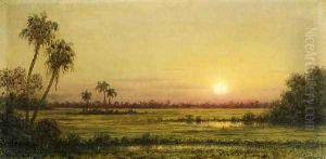 Sunset In Florida