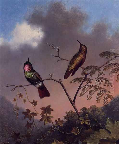 Brazilian Ruby Hummingbirds - view 1