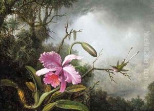 Orchid and Hummingbird, After a Storm by Martin Johnson Heade