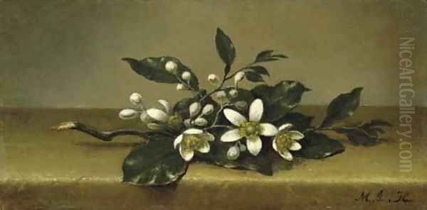 Branch of Orange Blossoms - view 1