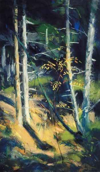 Maine Landscape - view 1
