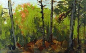 Woodland Scene Monhegan Maine