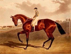 'Bay Middleton' winner of the Derby in 1836 'Bay Middleton' winner of the Derby in 1836