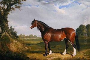 A Clydesdale Stallion, 1820