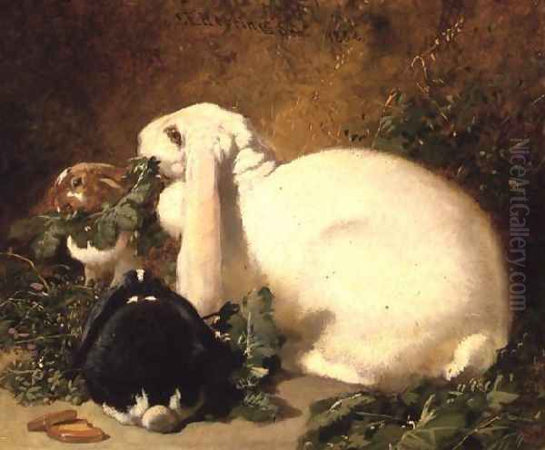 A Doe Rabbit and her two young, 1852 - view 1