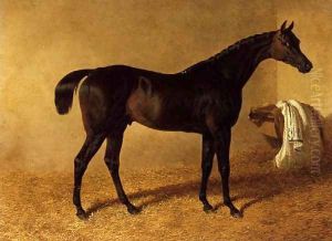'Dr Syntax', a dark bay racehorse in a loose box by John Frederick Herring Snr