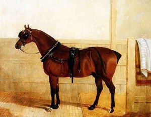 Prize Shire Horse in Harness, 1835 by John Frederick Herring Snr